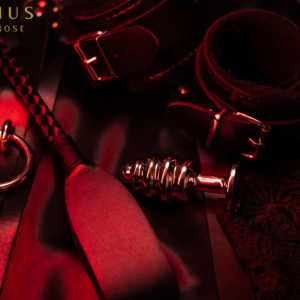 BDSM Spielzeug mit rotem Licht beleuchtet